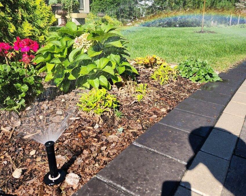 Why is a Backflow Prevention Device a Mandatory Initial Setup Factor for a New Residential Irrigation System?