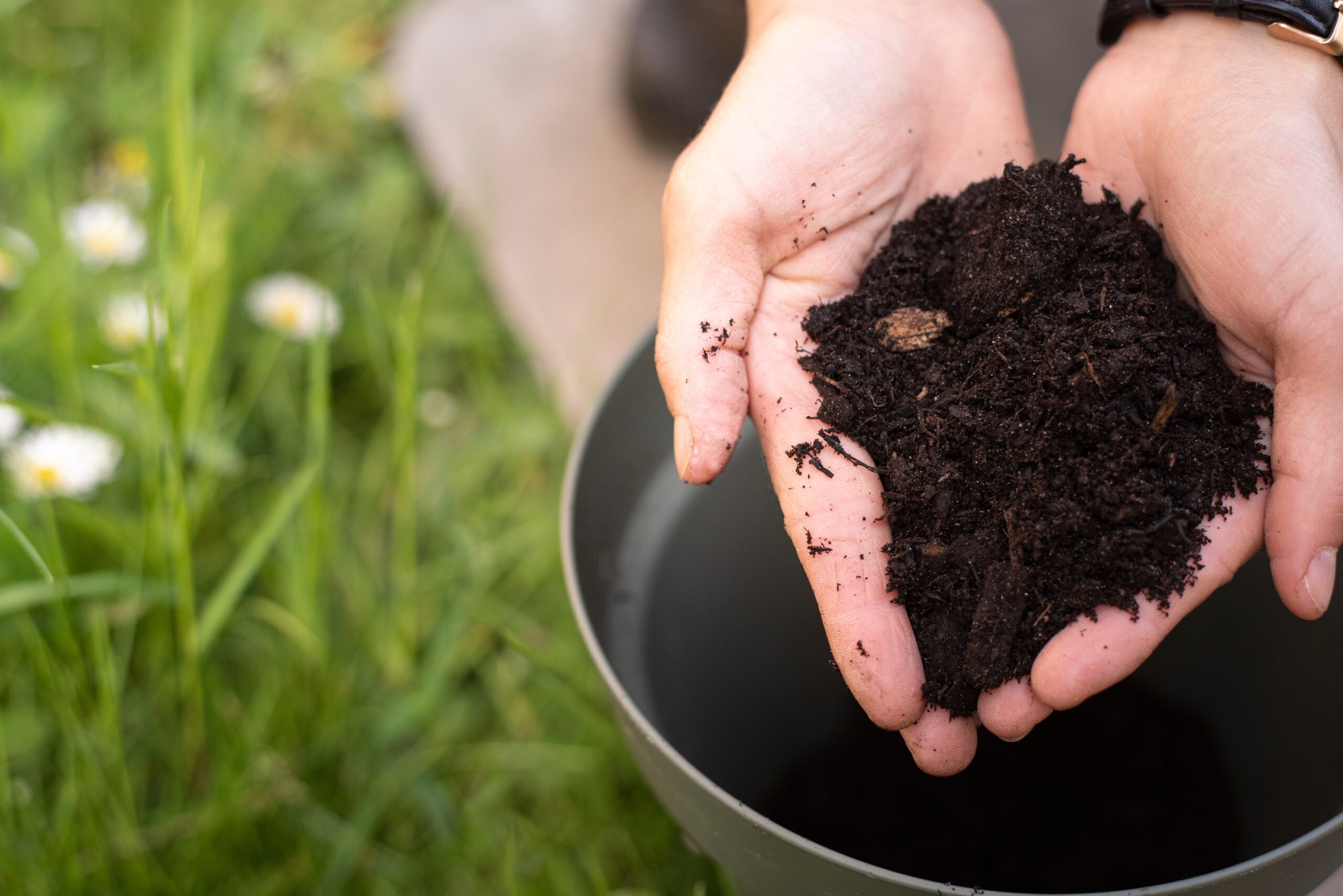Landscape Irrigation Services Installation